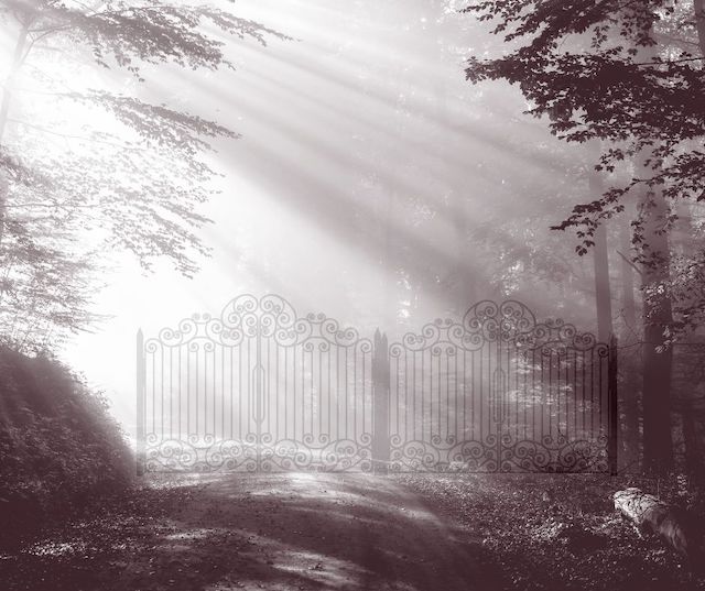 faint outline of a gate in the middle of the woods