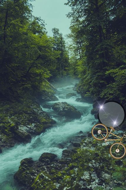 bicycle before a portal near a woodland creek